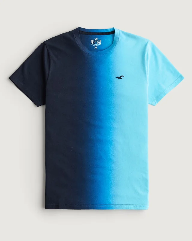 Modern Chic Hollister T shirt